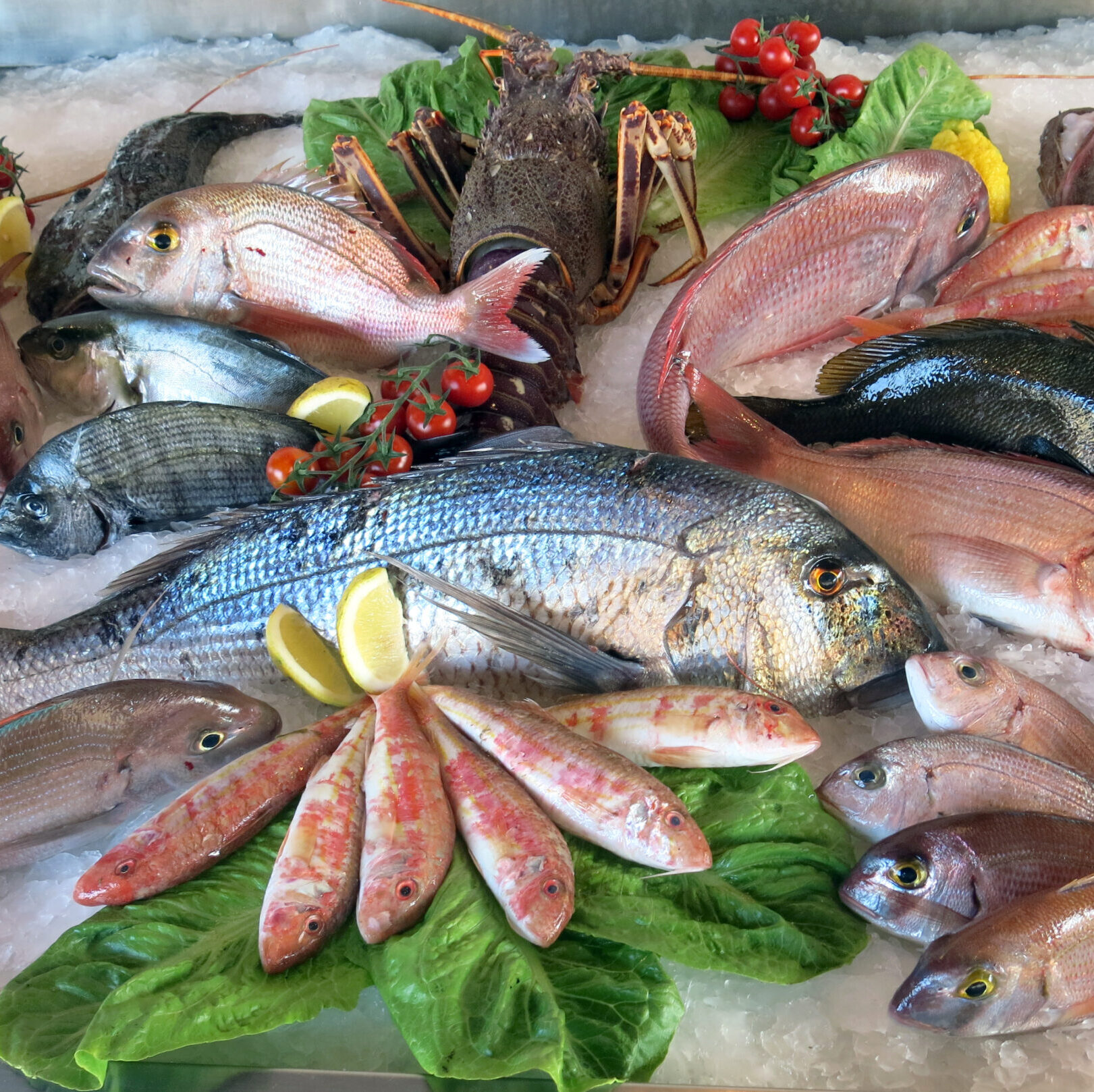 Fisch